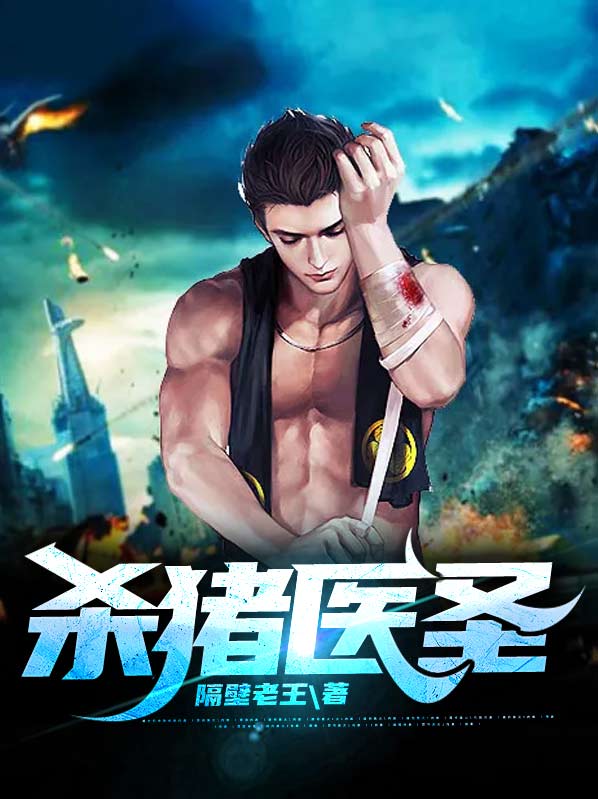 杀猪医圣小说下载