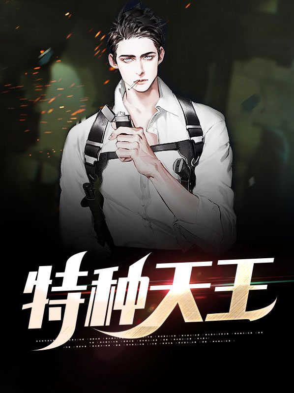 特种天王 小说