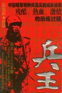 兵王全部小说