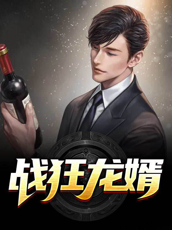 都市之狂龙战婿