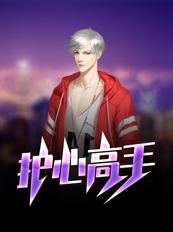 护美高手小说