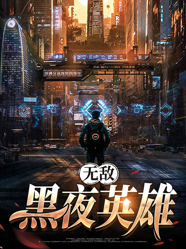 无敌黑夜英雄小说