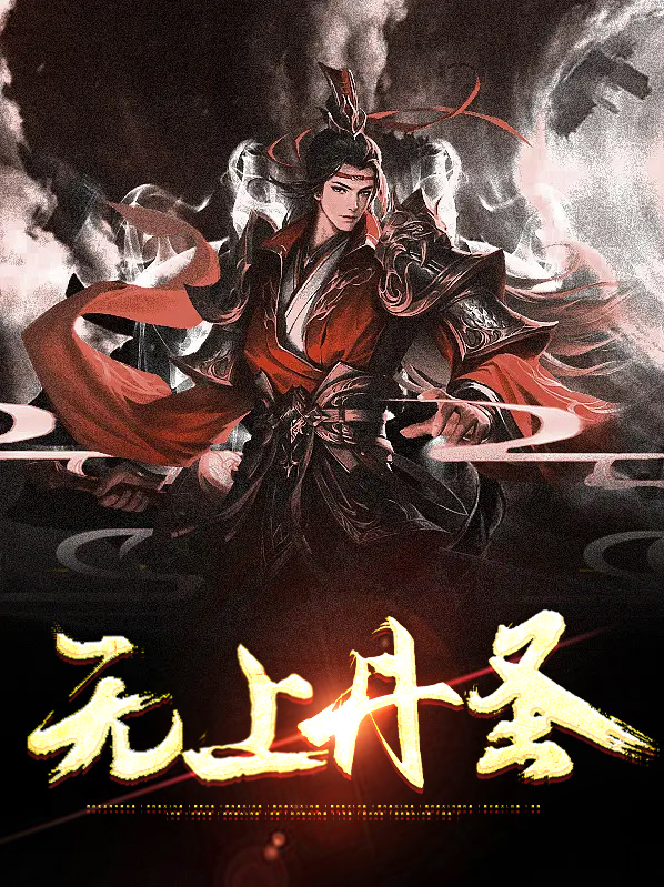 无上丹圣小说