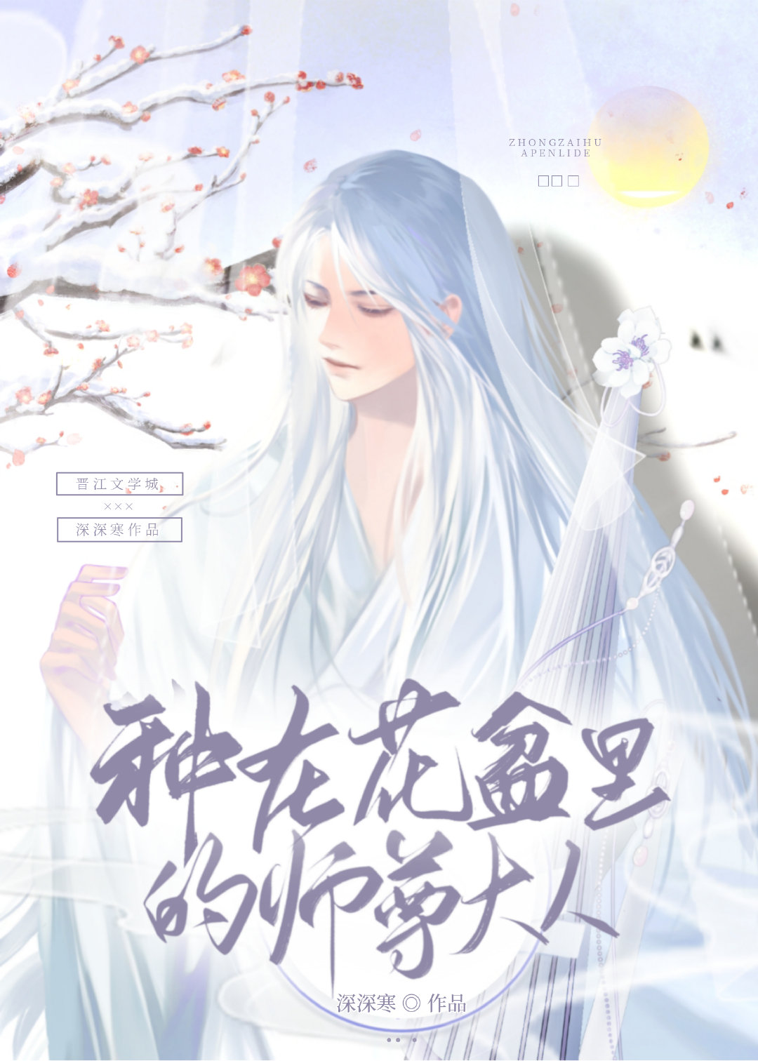 栽在花盆里