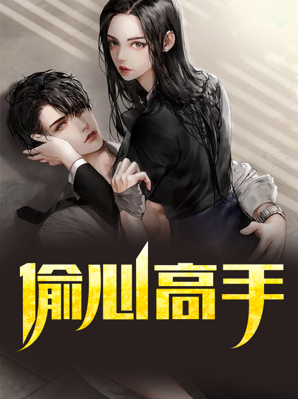 偷心高手免费阅读全文