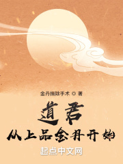 道君从上品金丹开始百度百科