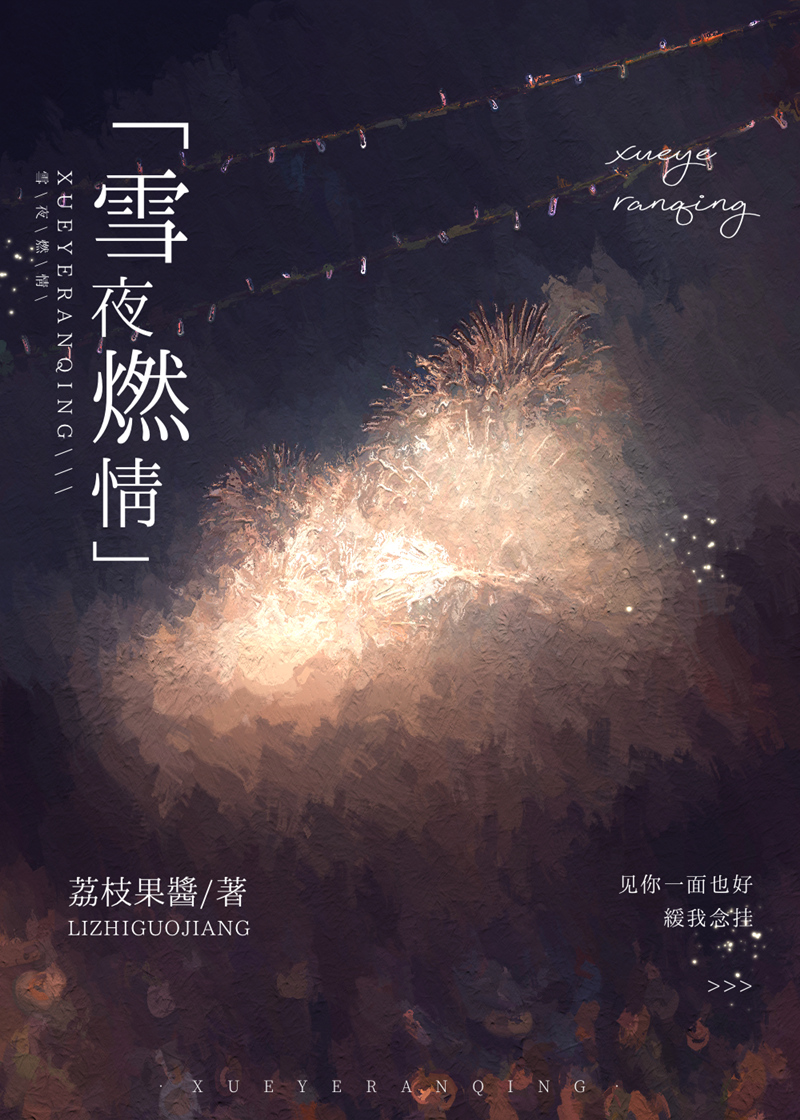 雪夜燃情免费阅读