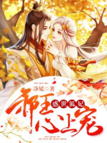 邪王萌宠惑世妃