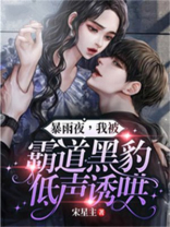 暴雨夜,我被霸道黑豹低声诱哄! 宋星主