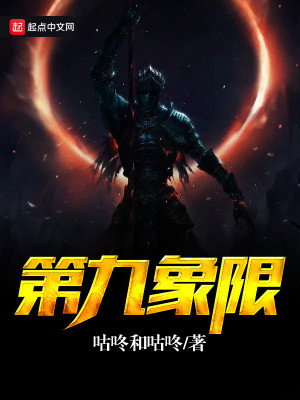 第九象限半导体 公司