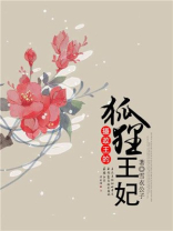 摄政王的狐狸王妃 小说
