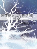 黑莲花美人攻略指南