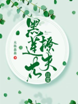 黑莲花撩汉日常快穿