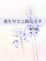 文2重生之路