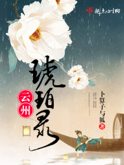 琥珀云官网