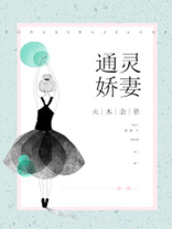 通灵妃,小说