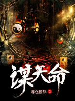 天命凰谋后续