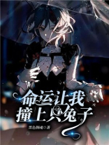 命运让我撞上只兔子的人