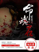 命魂石小说
