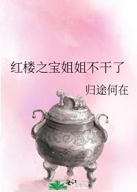 红楼之宝姐姐不干了免费阅读