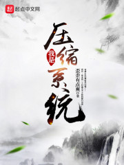 系统压缩有什么坏处