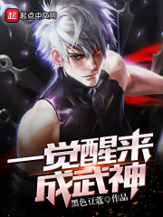 一觉醒来成武神 小说
