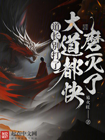道长别打了,大道都快磨灭了境界划分