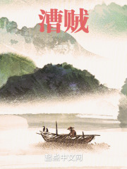 曹贼小说