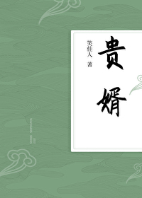 贵婿临门周毅洛疑全文阅读免费
