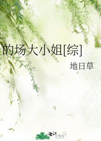 综的场大小姐免费