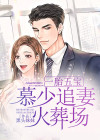 一胎五宝慕少追妻火葬场视频