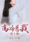 高冷总裁爱上我锦瑟