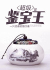 有声小说超级鉴宝王
