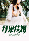 拜见女婿小说