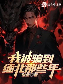 我被骗到缅北的那些年作者破金免费阅读