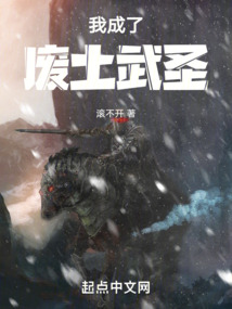 我成了废土武圣乐文小说