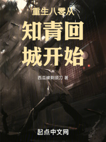重生八零从知青回城开始 作者:西瓜牌剃须刀
