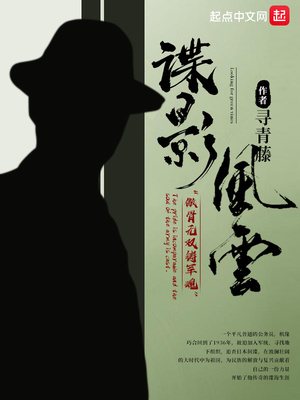 谍影风云笔趣阁免费阅读全文