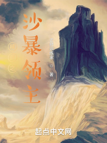 精灵之沙暴领主 正经训练家免费阅读