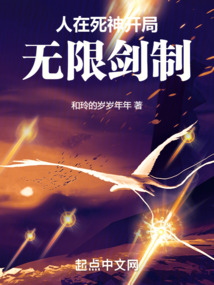 型月开局拥有无限剑制的小说
