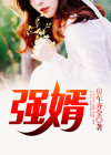强婿归来 小说