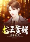 龙王赘婿台词