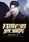我的老婆是白富美小说阅读