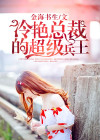 冷艳总裁的超级兵王叶轩许妃蓉