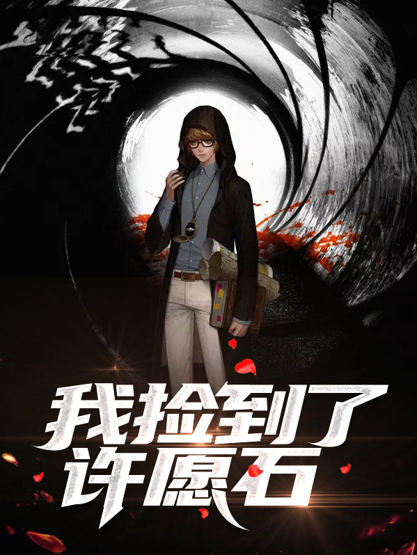我捡到了许愿石小说