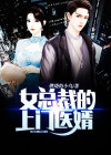 女总裁的上门医婿视频全集