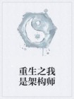 重生之我是架构师免费阅读