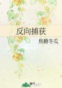 反向捕获小说免费阅读