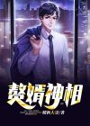 赘婿神医全文免费阅读完整版