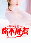 我的老婆你惹不起轻小说